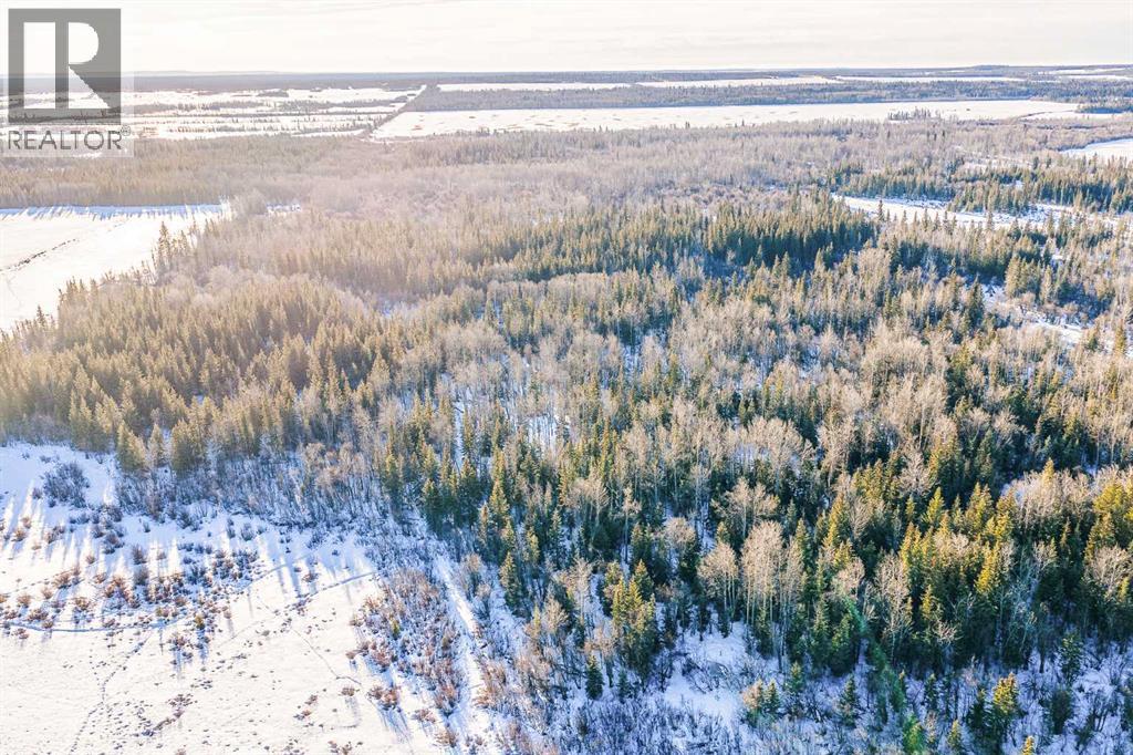 SE-13-81-10-W6 Twp Rd 812, Rural Saddle Hills County, Alberta  T0H 3G0 - Photo 23 - A2276197