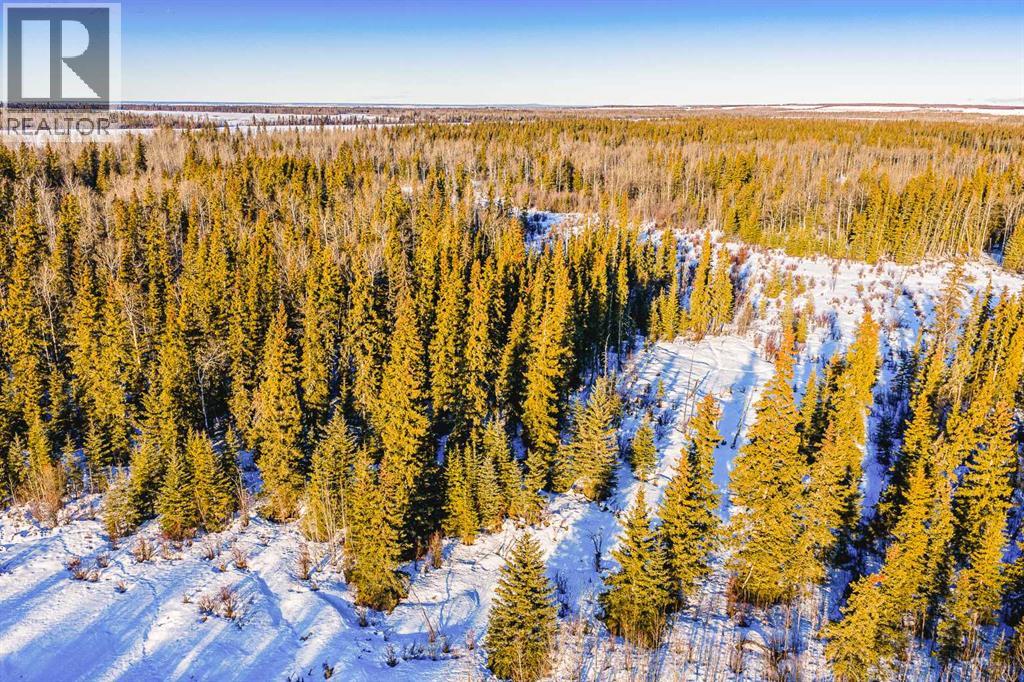 SE-13-81-10-W6 Twp Rd 812, Rural Saddle Hills County, Alberta  T0H 3G0 - Photo 38 - A2276197