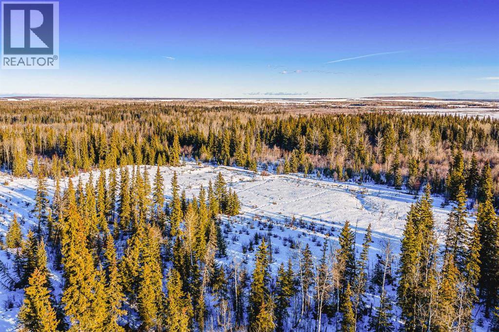 SE-13-81-10-W6 Twp Rd 812, Rural Saddle Hills County, Alberta  T0H 3G0 - Photo 37 - A2276197
