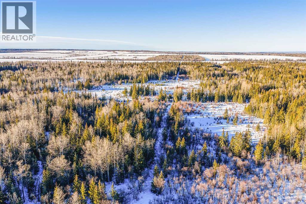 SE-13-81-10-W6 Twp Rd 812, Rural Saddle Hills County, Alberta  T0H 3G0 - Photo 22 - A2276197