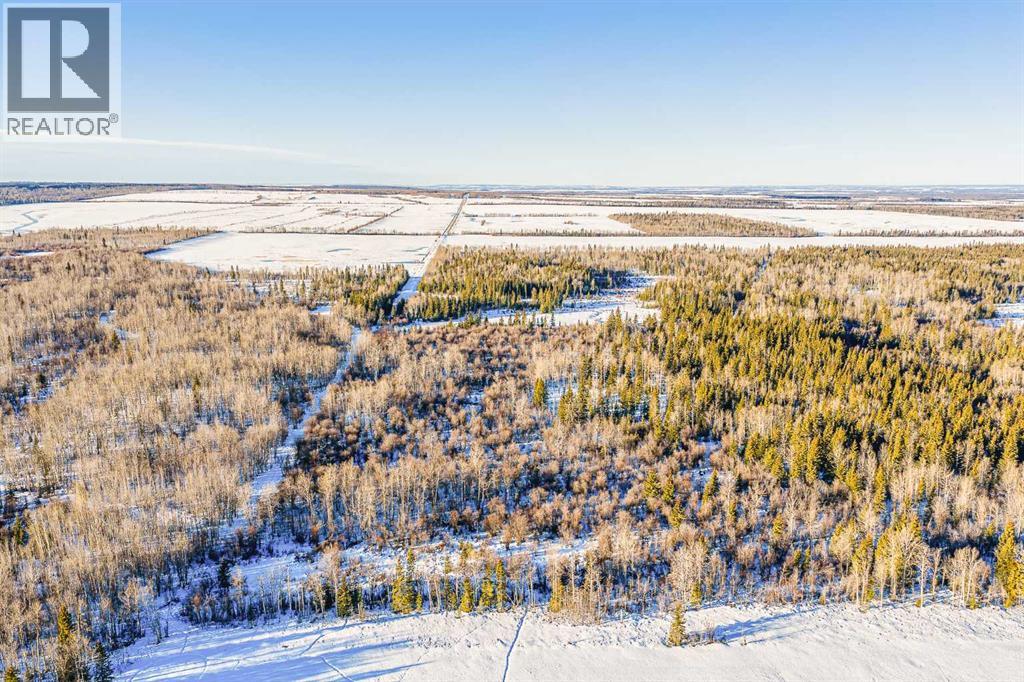 SE-13-81-10-W6 Twp Rd 812, Rural Saddle Hills County, Alberta  T0H 3G0 - Photo 15 - A2276197