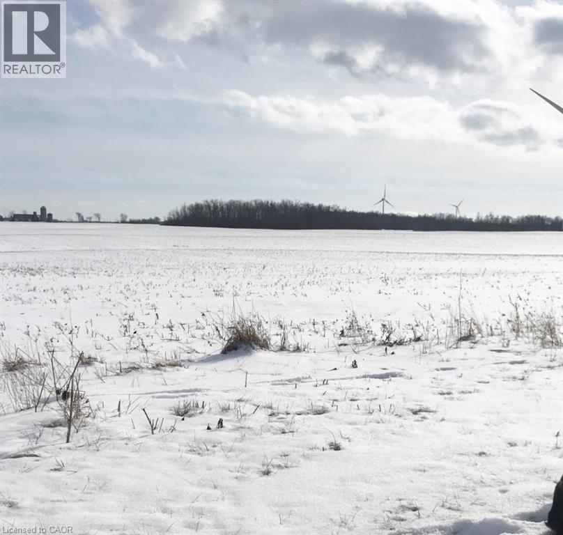 350 Concession 6 Walpole, Jarvis, Ontario  N0A 1J0 - Photo 37 - 40845492