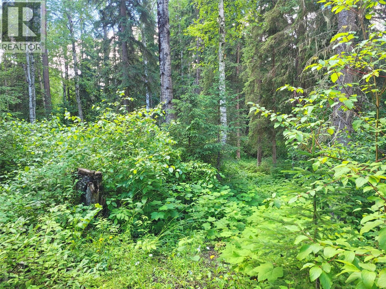 5289 Clearwater Valley Road Clearwater Photo 72 5289 Clearwater Valley Road Clearwater Photo 72