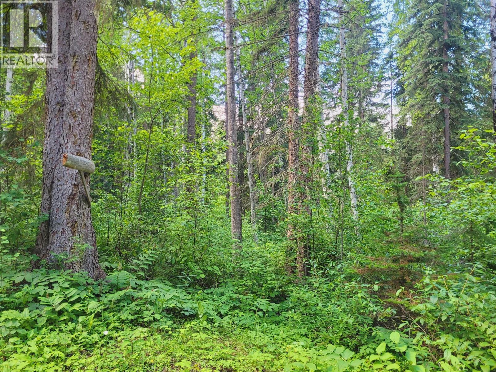 5289 Clearwater Valley Road Clearwater Photo 73 5289 Clearwater Valley Road Clearwater Photo 73
