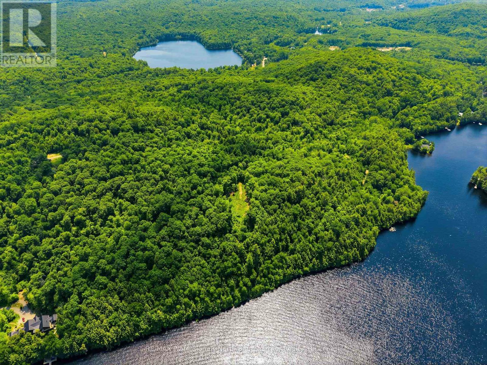 N/a Adeline Trail, Dysart Et Al, Ontario  K0M 1S0 - Photo 10 - X13527630