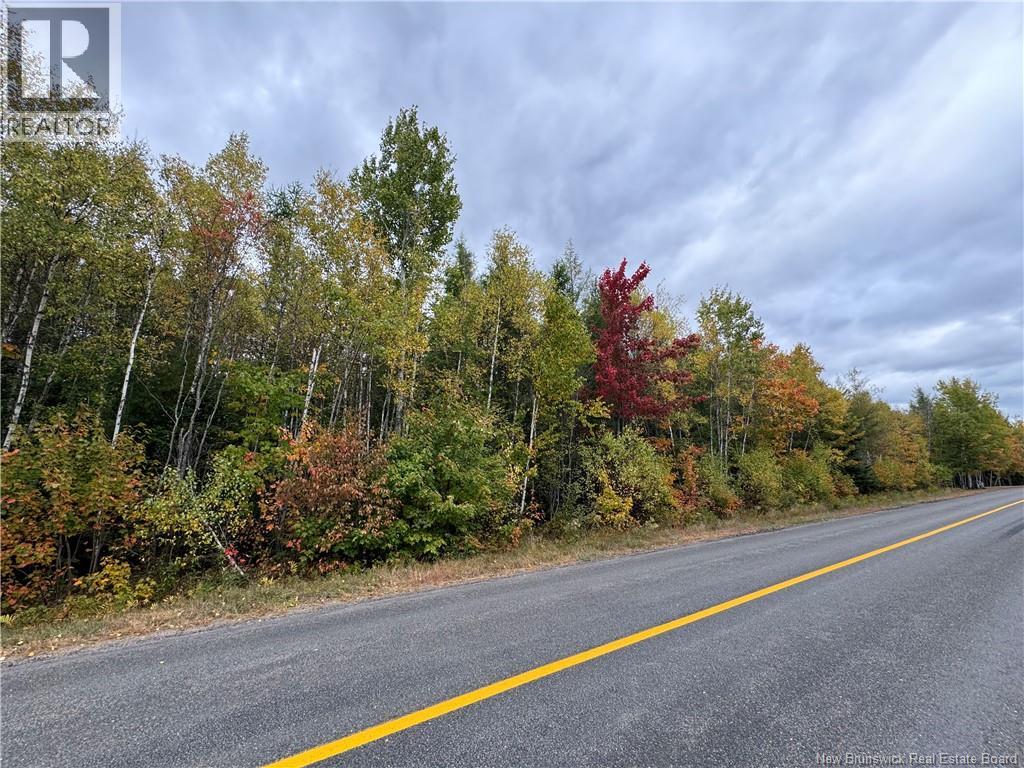 Blueberry Lane, Codys, New Brunswick