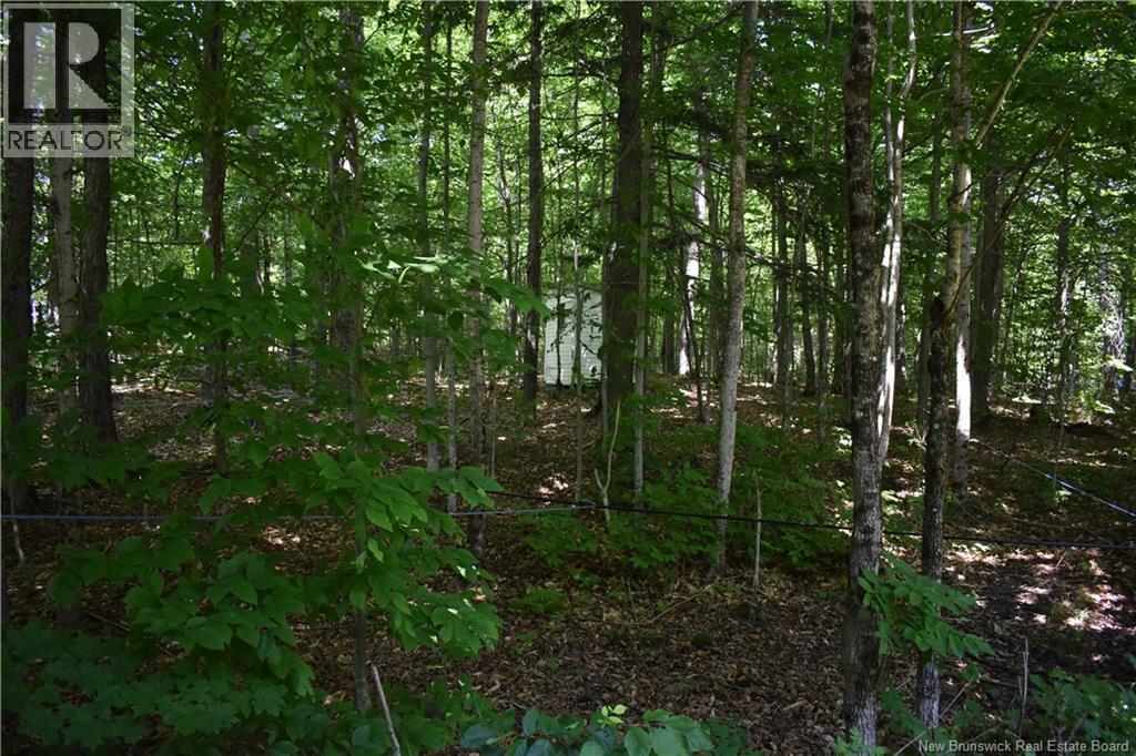 344 Route 575, Pole Hill, New Brunswick  E7P 3H9 - Photo 39 - NB132220
