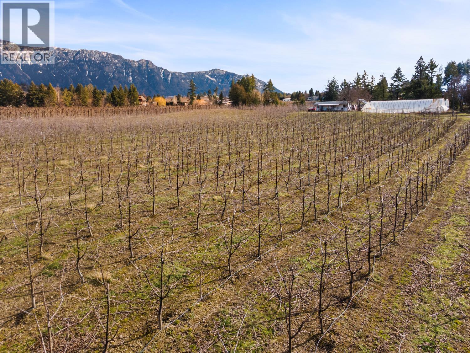 2103 Erickson Road, Erickson, British Columbia V0B 1G1 - Photo 20 - 10378847