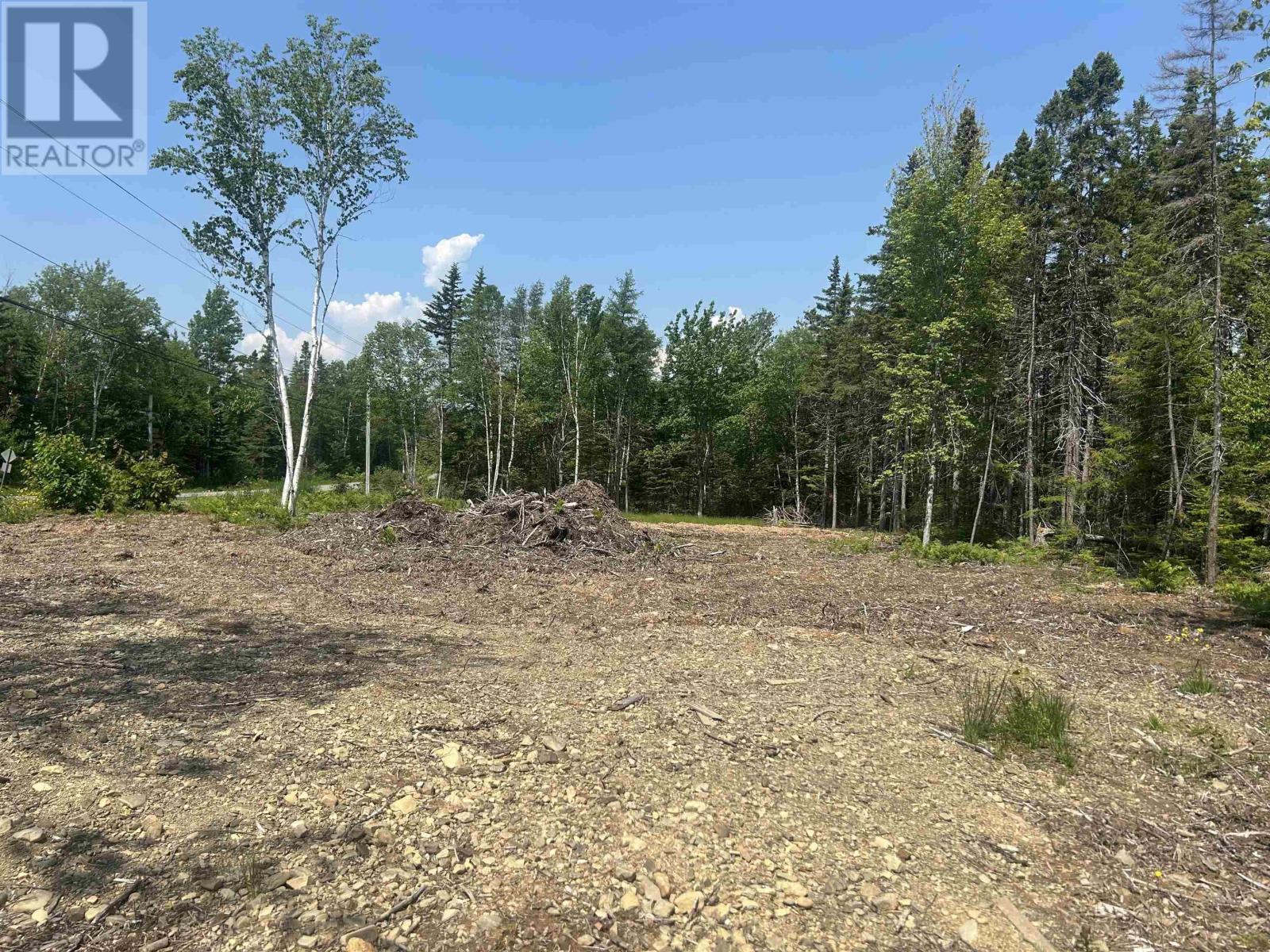 0 Meadows Road, Sydney Forks, Nova Scotia  B1L 1A1 - Photo 4 - 202603422