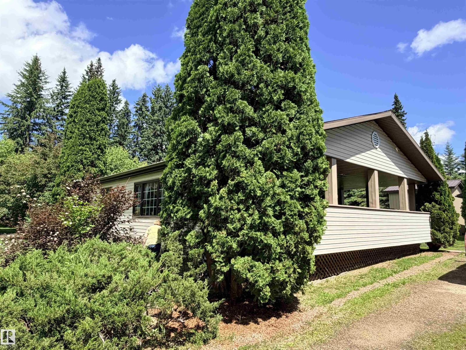 5309 51 St, Jarvie, Alberta  T0G 1H0 - Photo 1 - E4474828