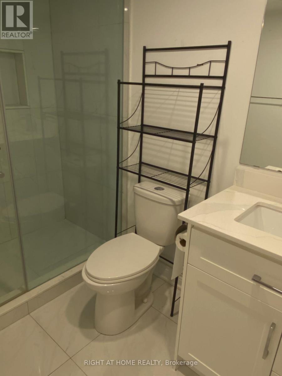 Lower Level - 65 Ruffle Lane Lane N, Richmond Hill, Ontario L4E 2V1 - Photo 4 - N13528566