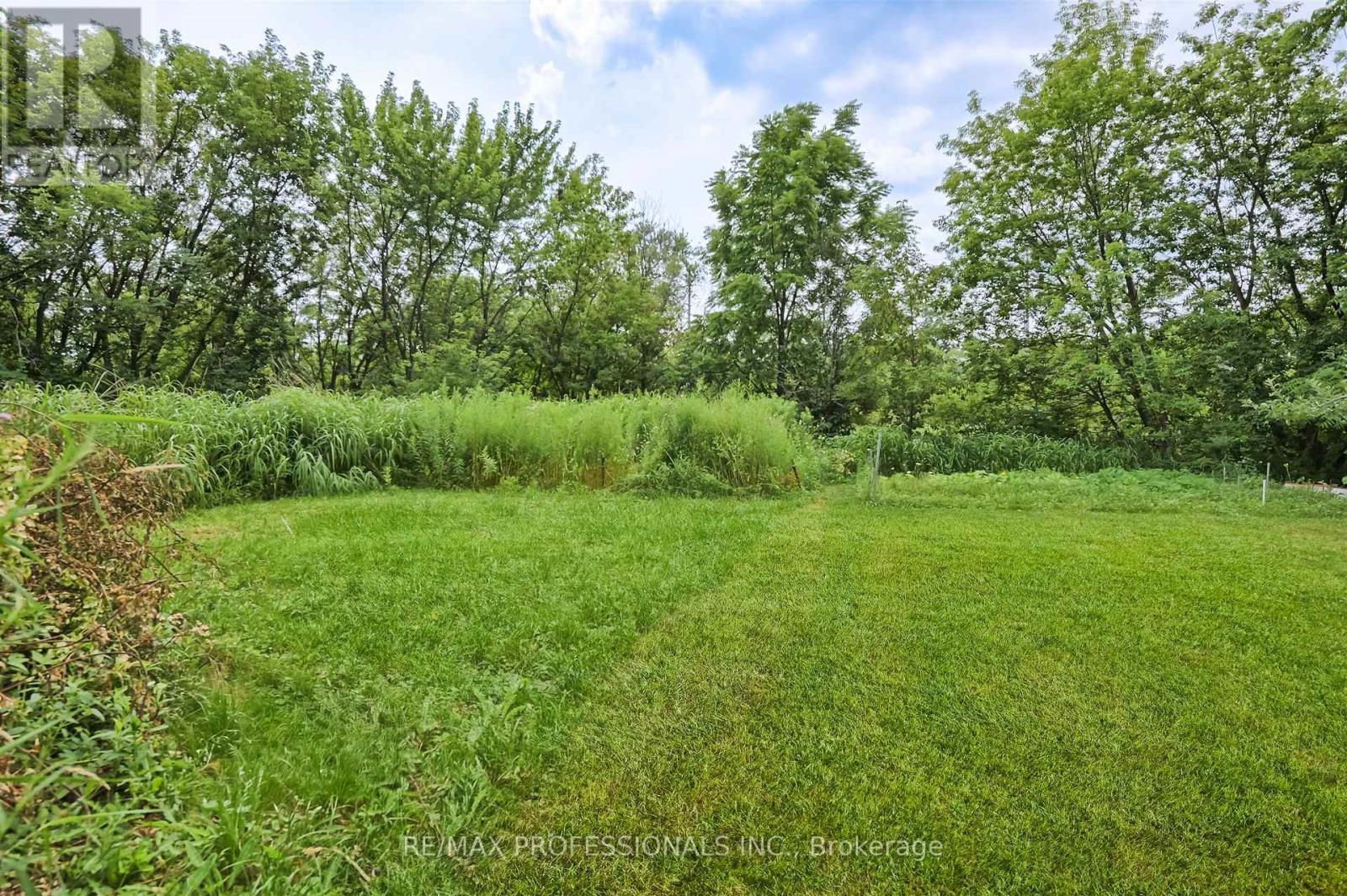 Bsmt - 1026 Haig Boulevard, Mississauga, Ontario L5E 2M5 - Photo 17 - W13528528