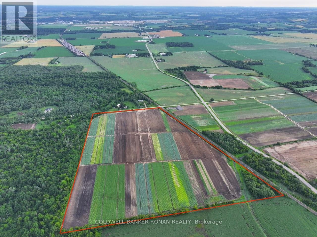 6817 10th Line, New Tecumseth, Ontario  L0G 1A0 - Photo 6 - N13144494