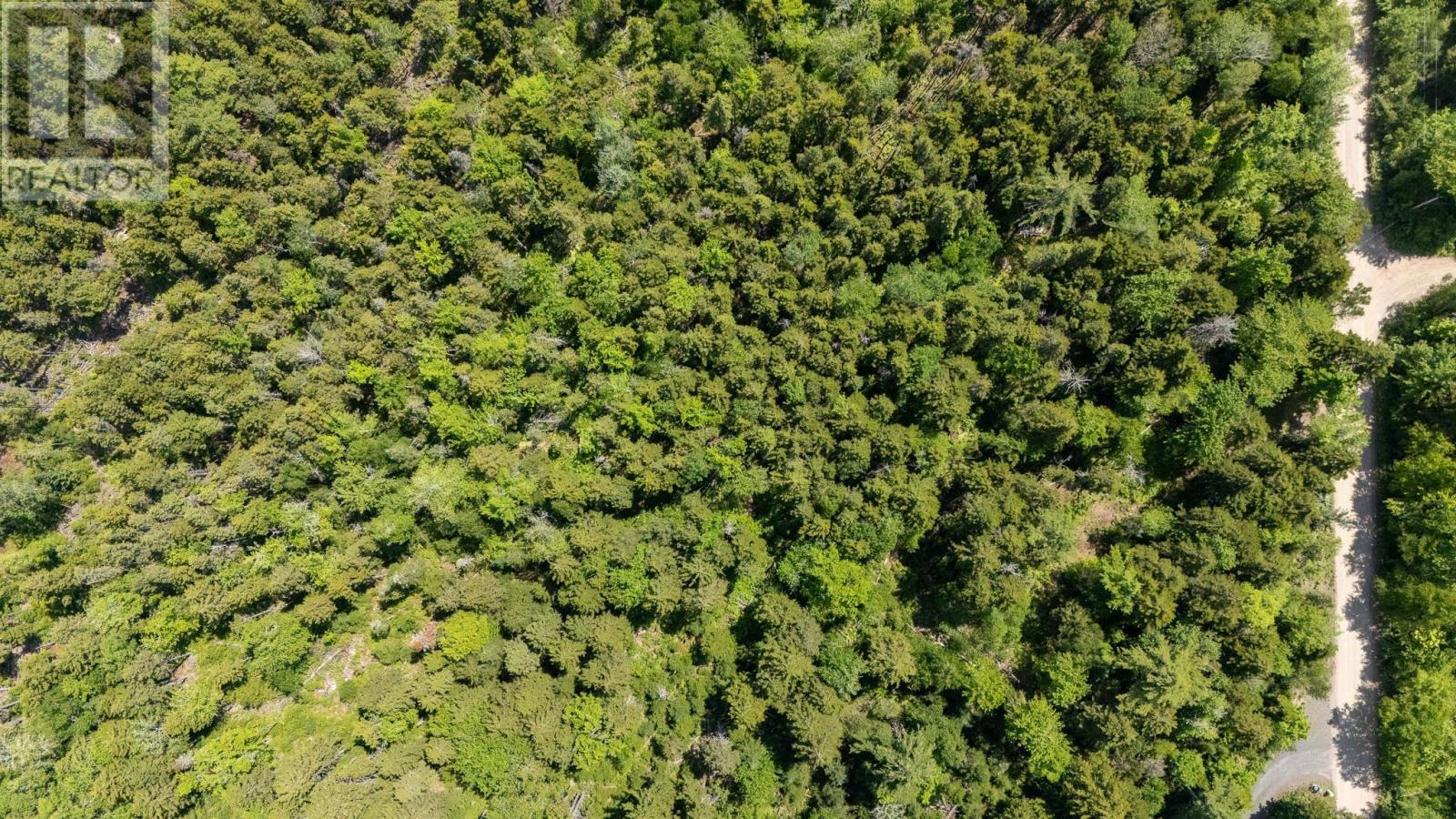 Lot 116 Village Road, Aylesford Lake, Nova Scotia  B4N 3V8 - Photo 17 - 202612104