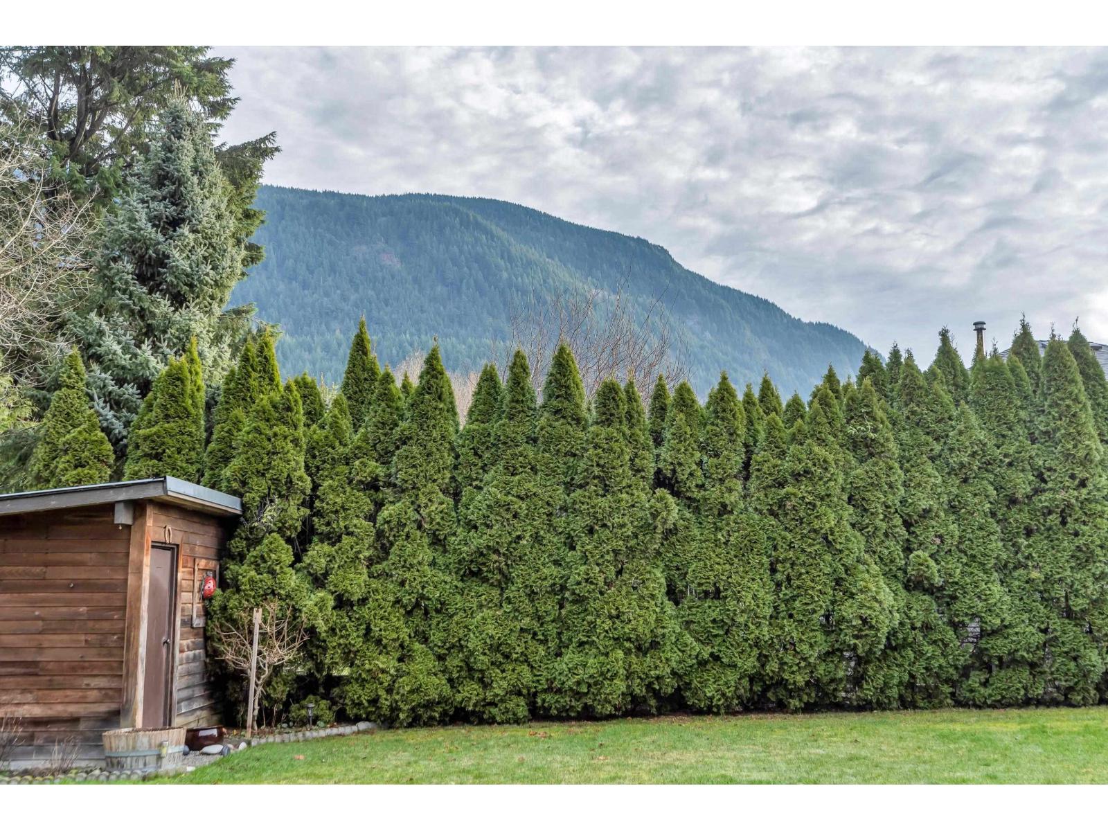 223 BALSAM AVENUE|Harrison Hot Springs — photo 39