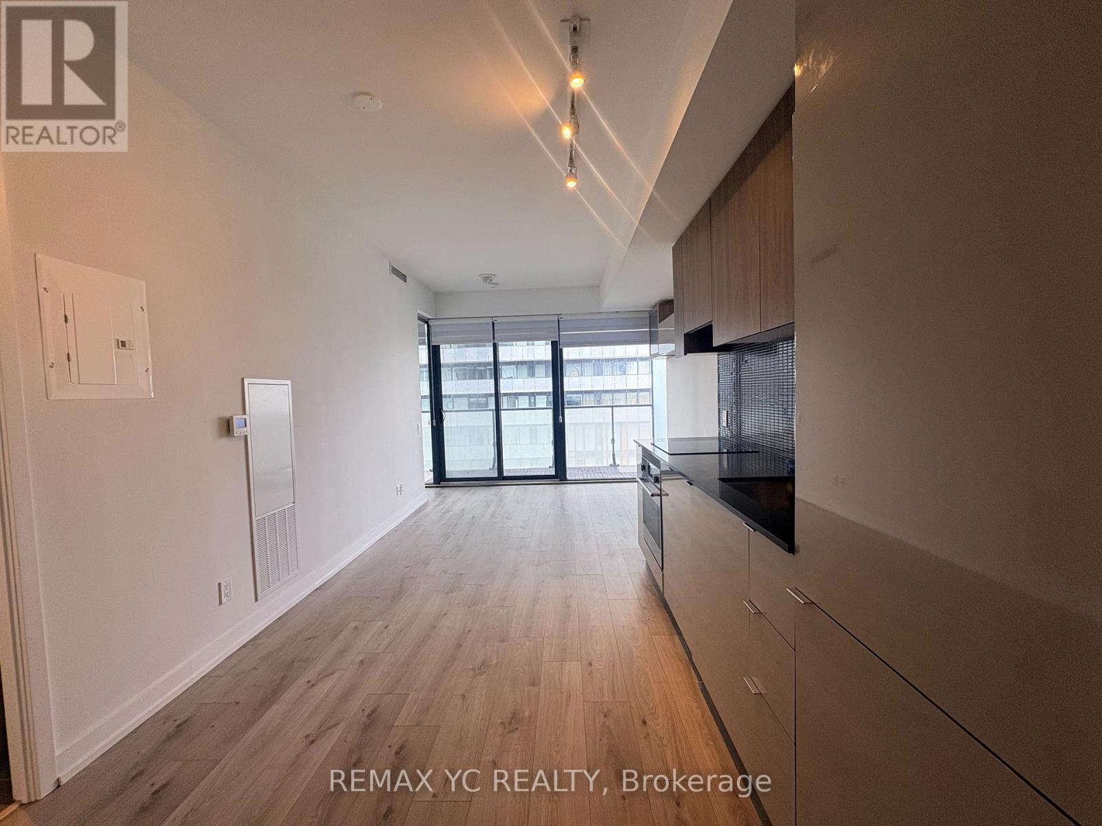 2009 - 161 Roehampton Avenue, Toronto, Ontario  M4P 0C8 - Photo 4 - C13528992