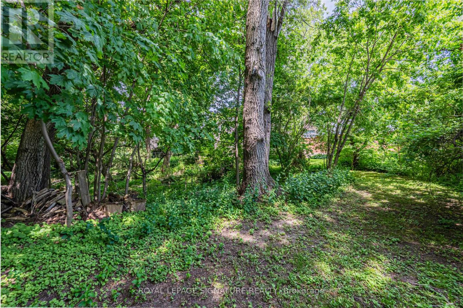 59 Parkview Hill Crescent, Toronto, Ontario M4B 1R1 - Photo 39 - E13529154