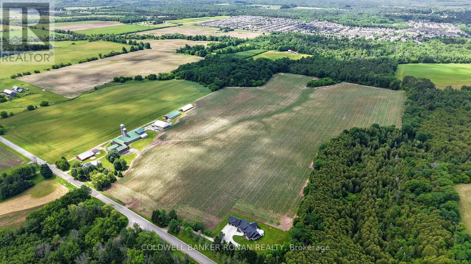 8562/8587 6th Line, Essa, Ontario  L0M 1T0 - Photo 13 - N13529158