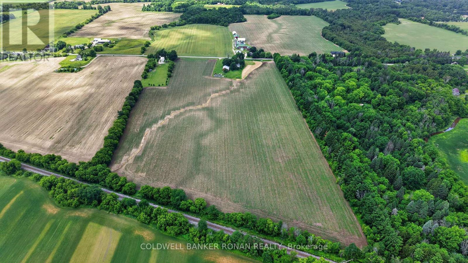 8562/8587 6th Line, Essa, Ontario  L0M 1T0 - Photo 14 - N13529158