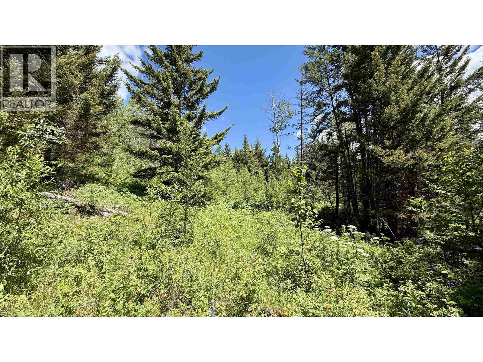 Dl 1808 Eagan Lake Road, Bridge Lake, British Columbia  V0K 1E0 - Photo 8 - R3143091