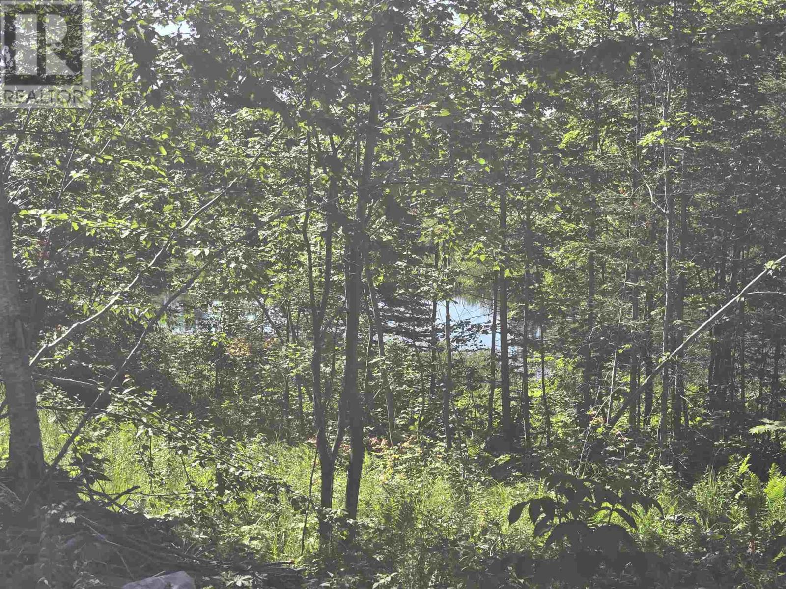 417 Creek Rd, Prince Township, Ontario P6A 6K4 - Photo 9 - SM261729