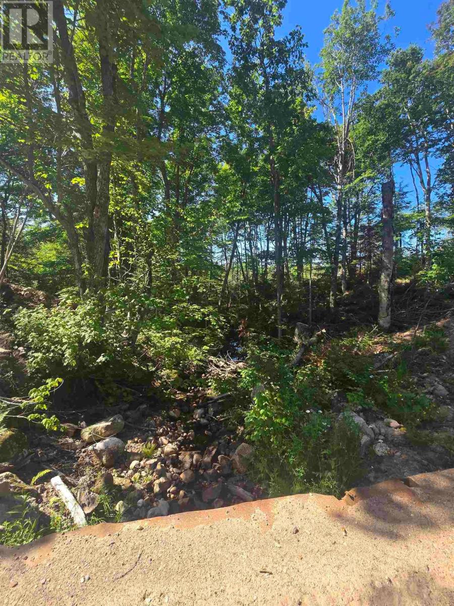 417 Creek Rd, Prince Township, Ontario P6A 6K4 - Photo 6 - SM261729