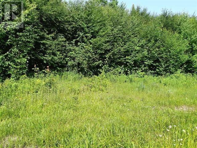 417 Creek Rd, Prince Township, Ontario P6A 6K4 - Photo 13 - SM261729