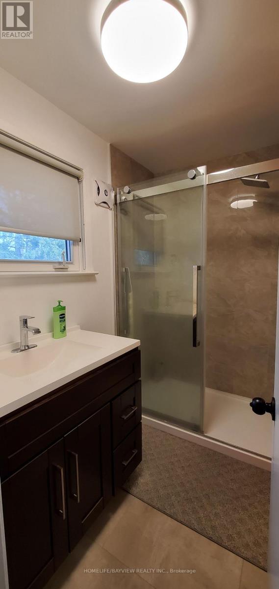 249 Wincott Drive, Toronto, Ontario  M9R 2R6 - Photo 16 - W13521478