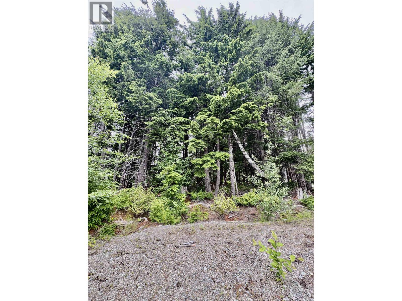 193 Elderberry Street, Kitimat, British Columbia  V8C 0A1 - Photo 5 - R3142698