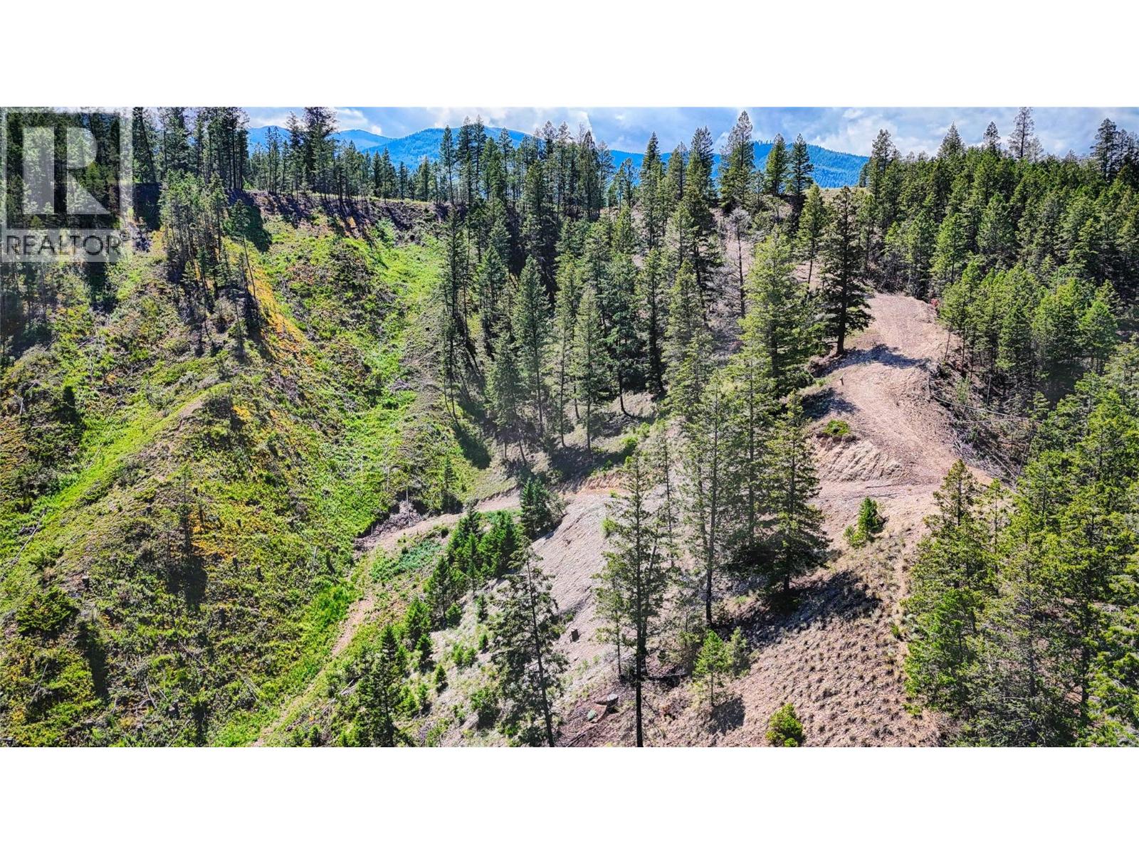 5571 93/95 Highway, Fairmont Hot Springs, British Columbia  V0B 1L2 - Photo 9 - 10393677