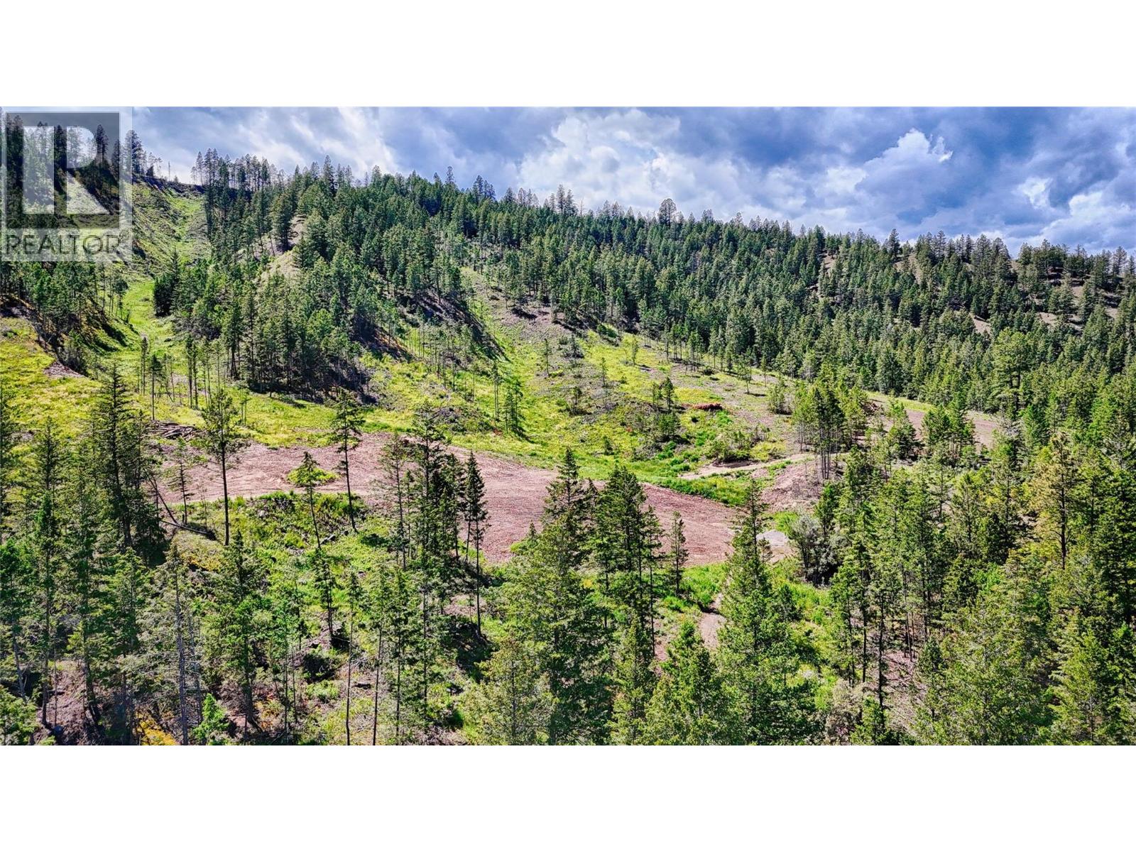 5571 93/95 Highway, Fairmont Hot Springs, British Columbia  V0B 1L2 - Photo 16 - 10393677