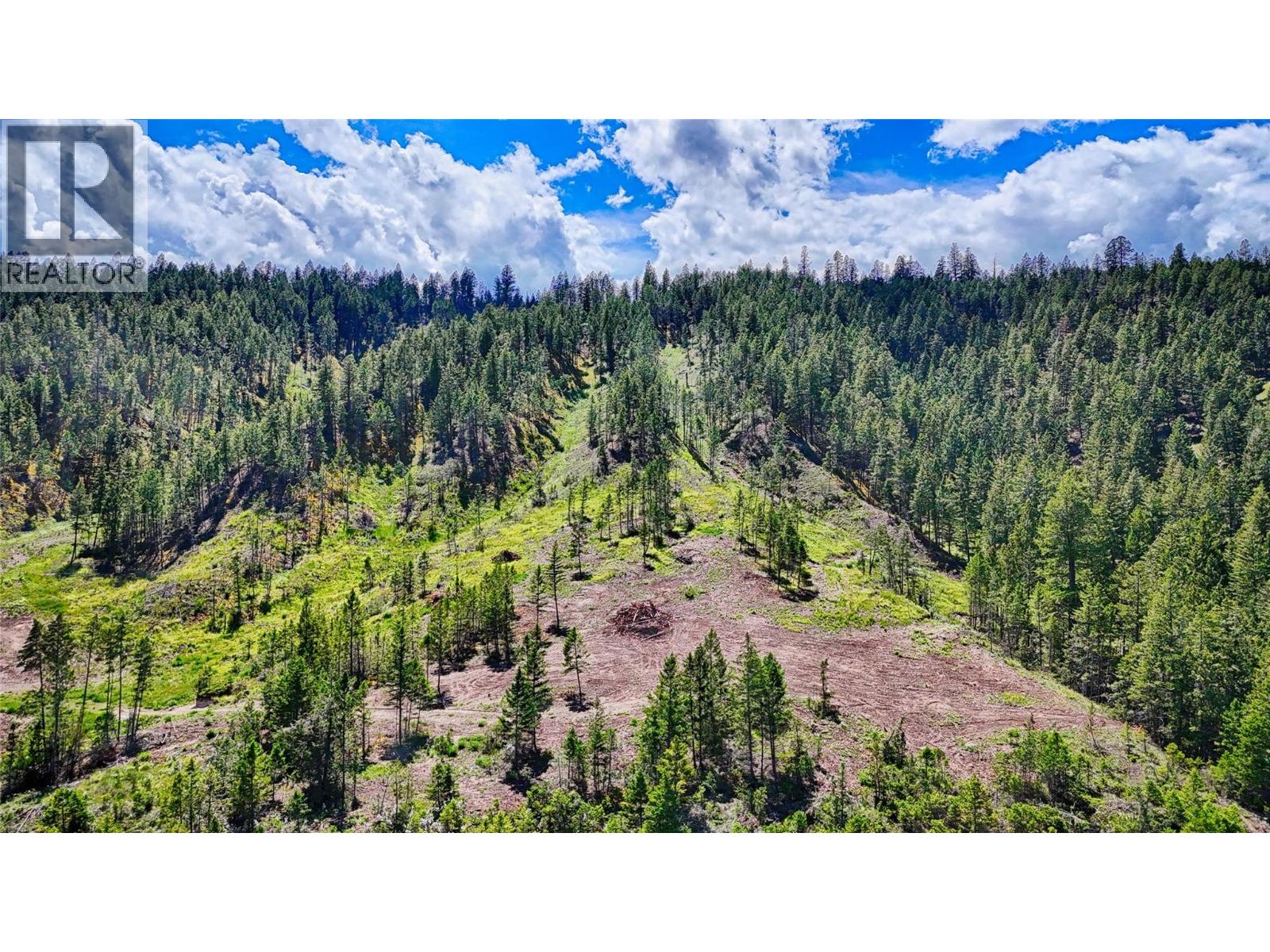 5571 93/95 Highway, Fairmont Hot Springs, British Columbia  V0B 1L2 - Photo 4 - 10393677