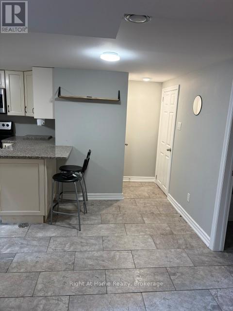 Basement - 778 Olive Avenue, Oshawa (Donevan), Ontario  L1H 2S3 - Photo 7 - E13529866