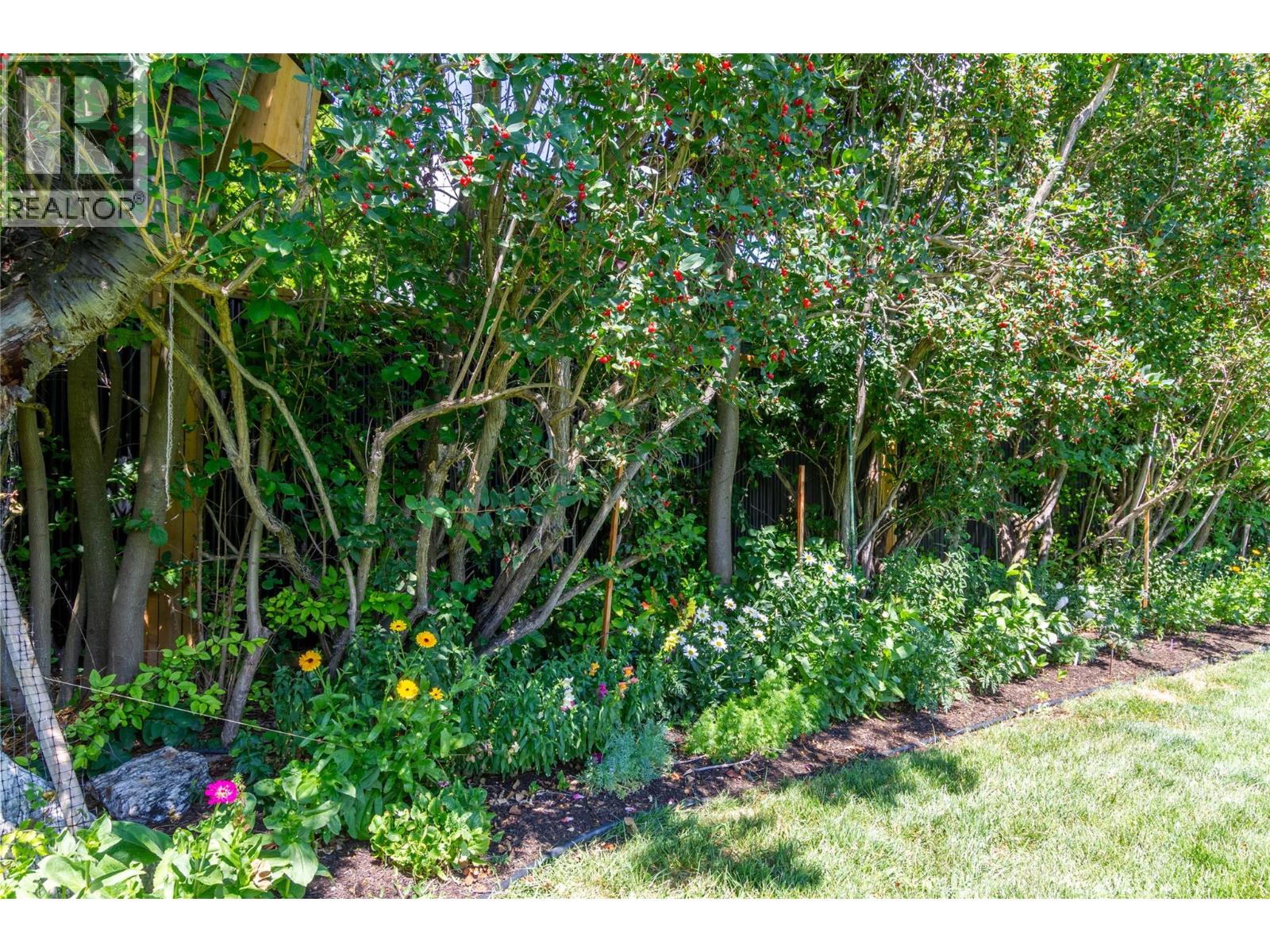 Listing image 59