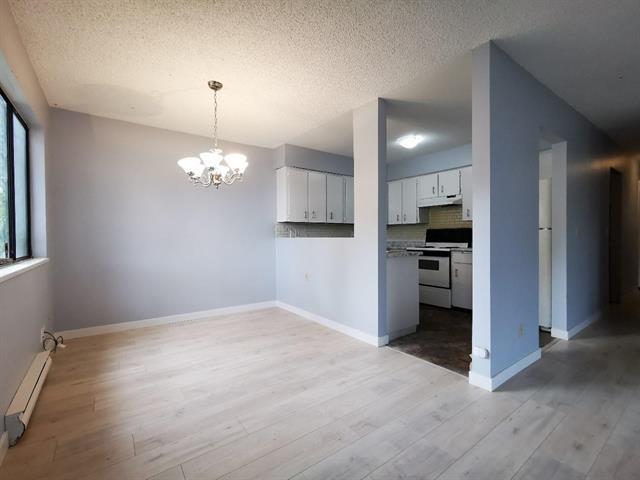 11859 89a Avenue, Delta, British Columbia  V4C 3G8 - Photo 7 - R3141129