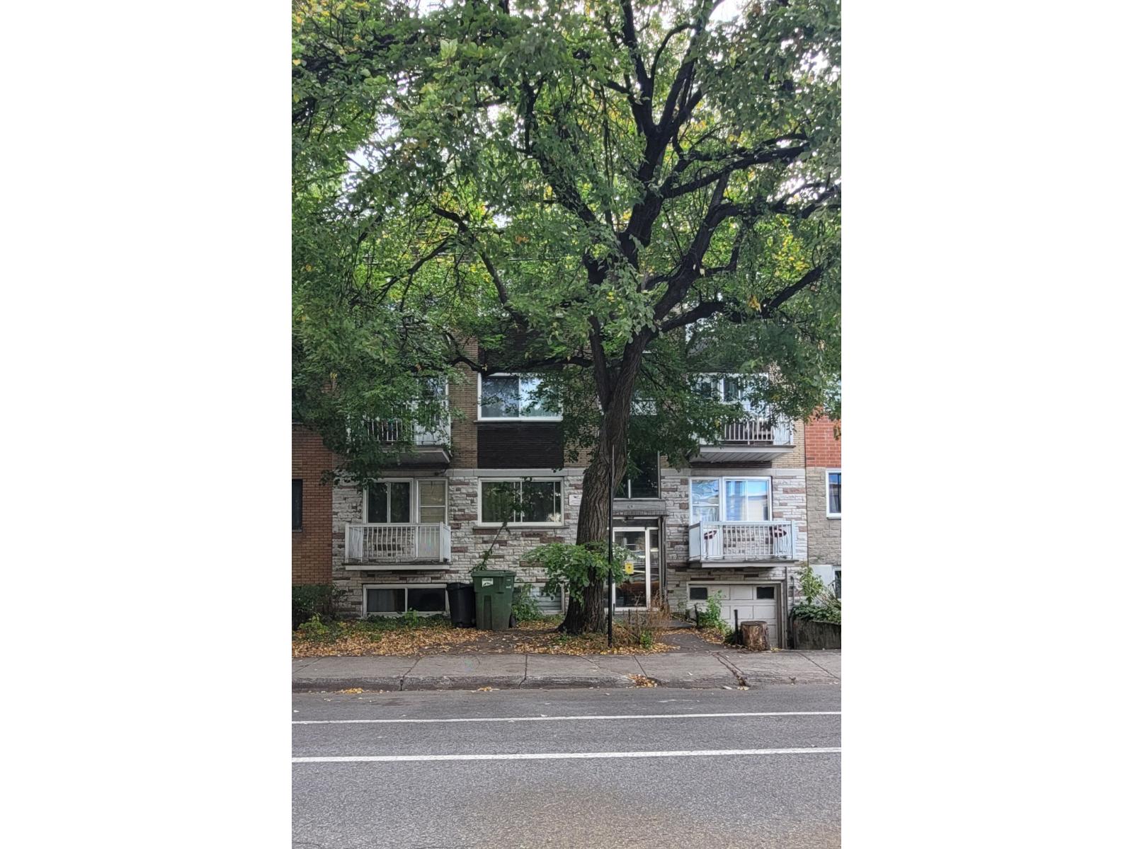 7456 Rue Marquette Montréal (Villeray/Saint-Michel/Parc-Extension) Quebec Canada H2E2E1 2