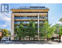 706 - 533 RICHMOND STREET W, Toronto, Ontario