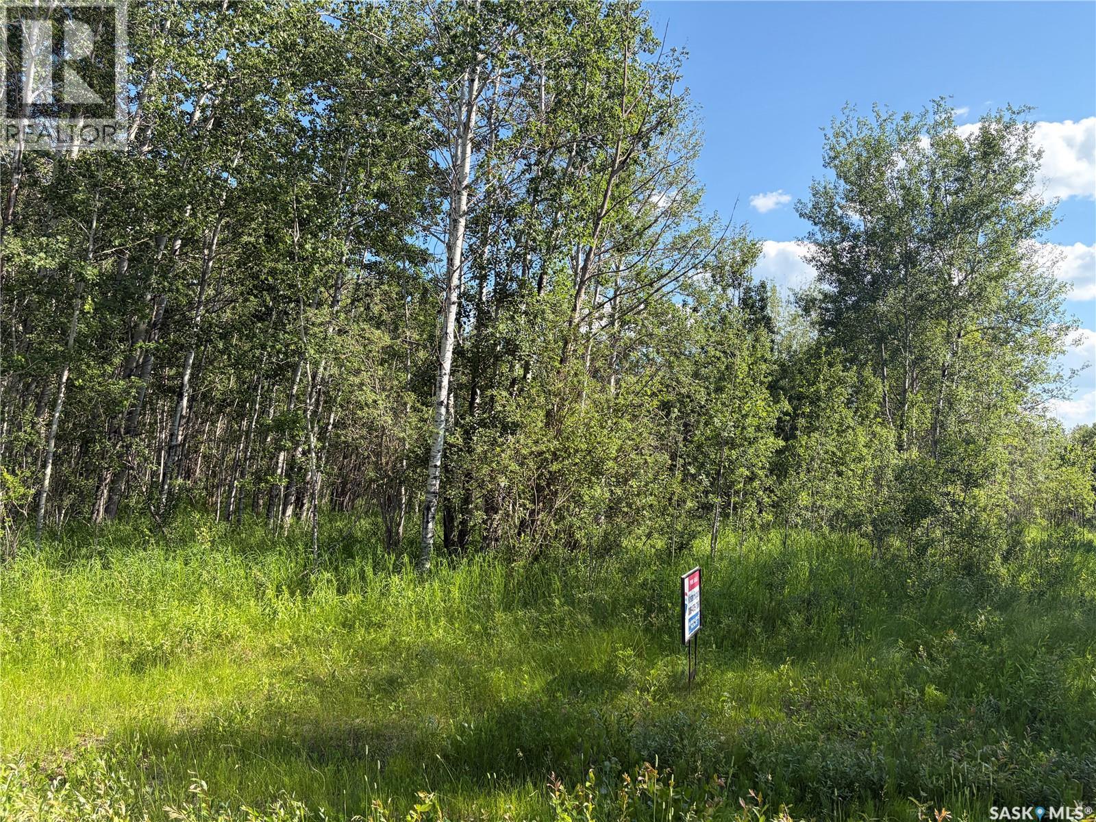 Lot 4 Lakeside Acreages, Delaronde Lake, Saskatchewan  S0J 0E0 - Photo 2 - SK041682