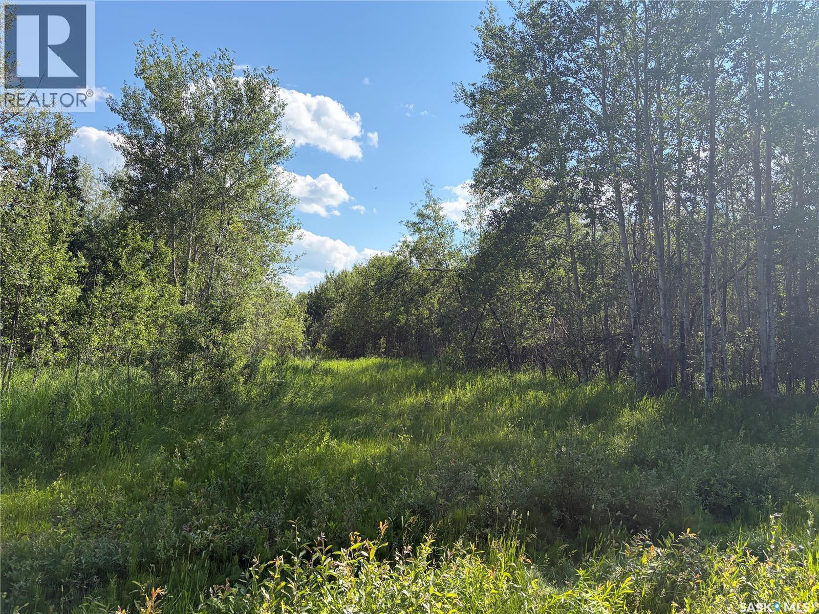 Lot 4 Lakeside Acreages, Delaronde Lake, Saskatchewan  S0J 0E0 - Photo 3 - SK041682