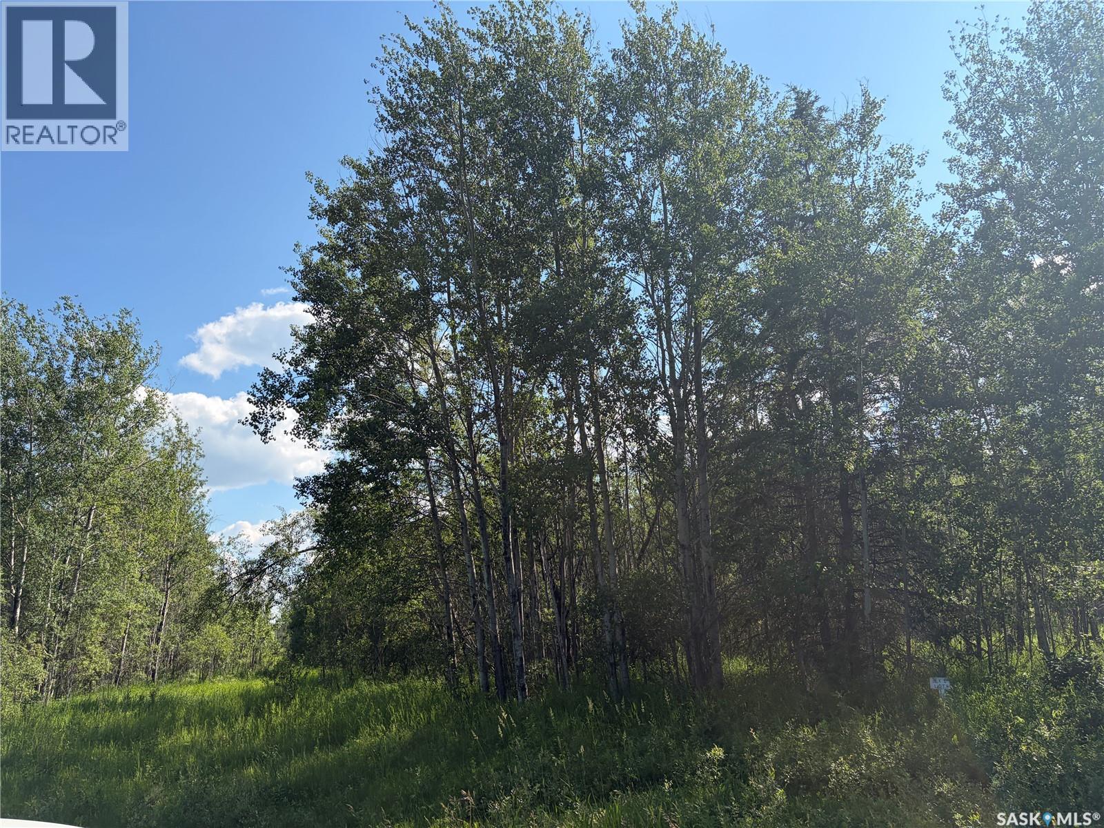 Lot 4 Lakeside Acreages, Delaronde Lake, Saskatchewan  S0J 0E0 - Photo 5 - SK041682