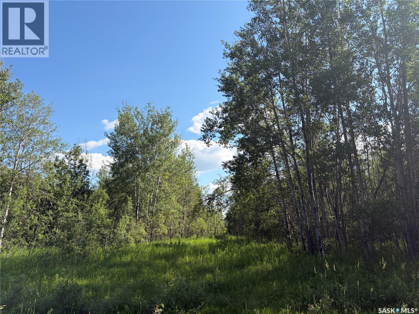Lot 4 Lakeside Acreages, Delaronde Lake, Saskatchewan  S0J 0E0 - Photo 6 - SK041682
