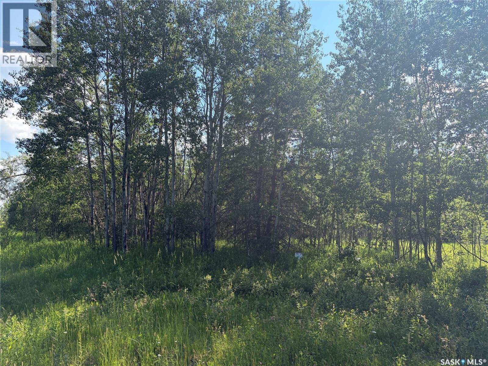 Lot 4 Lakeside Acreages, Delaronde Lake, Saskatchewan  S0J 0E0 - Photo 7 - SK041682