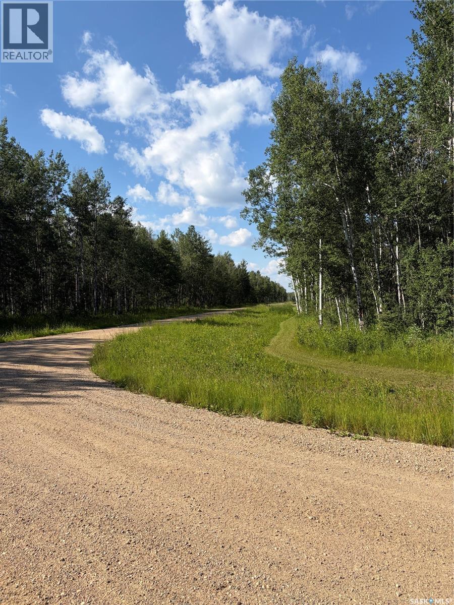 Lot 4 Lakeside Acreages, Delaronde Lake, Saskatchewan  S0J 0E0 - Photo 8 - SK041682