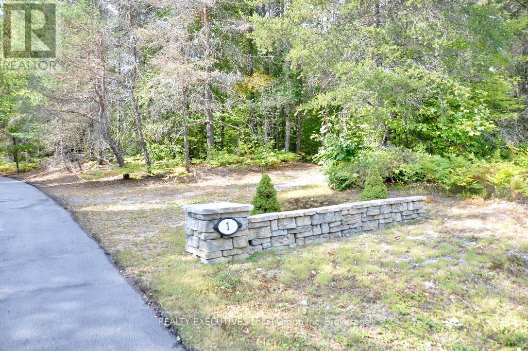 1 Springdale Drive, North Bay, Ontario  P1B 8G2 - Photo 2 - X13115552