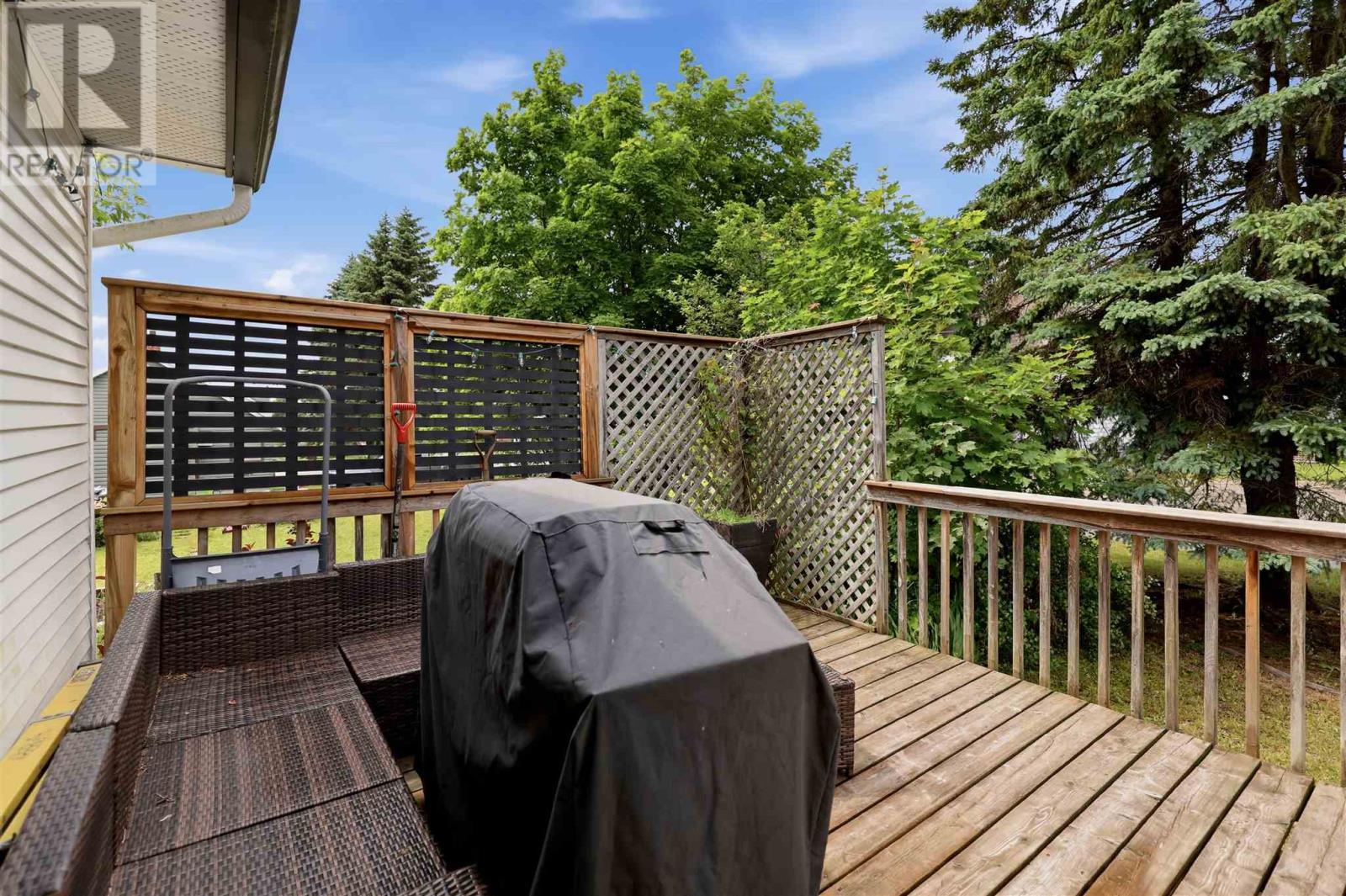 217 Birch St, Sault Ste. Marie, Ontario  P6B 2K1 - Photo 23 - SM261677