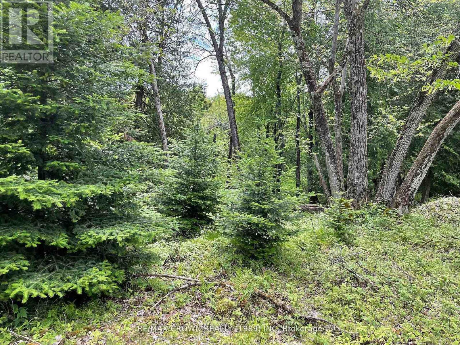 Lot 4 Smith Island, Callander, Ontario  P0H 1H0 - Photo 7 - X13530936