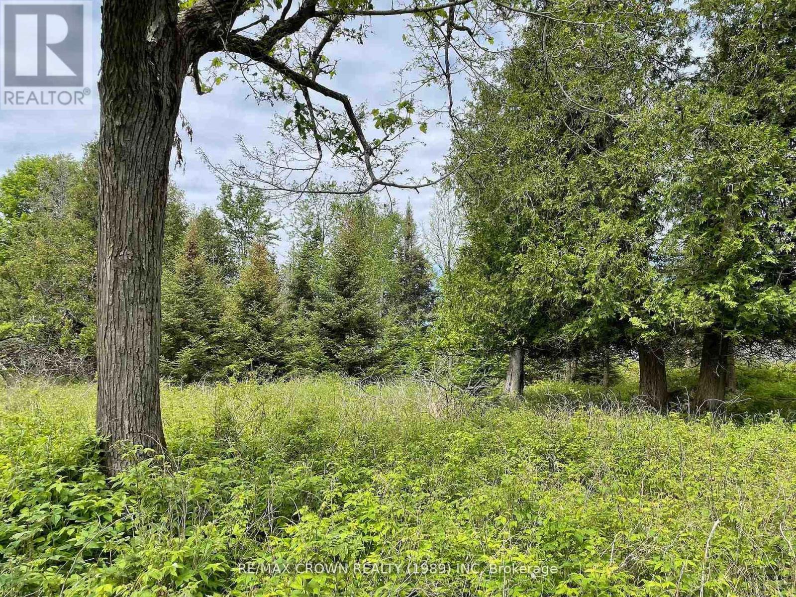 Lot 4 Smith Island, Callander, Ontario  P0H 1H0 - Photo 8 - X13530936