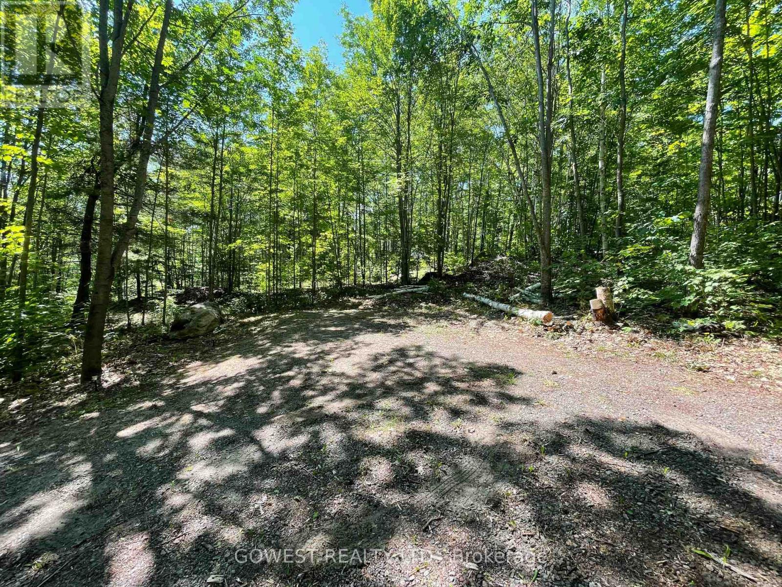 692 Mitchell Road, Madawaska Valley, Ontario K0J 1B0 - Photo 5 - X13530902