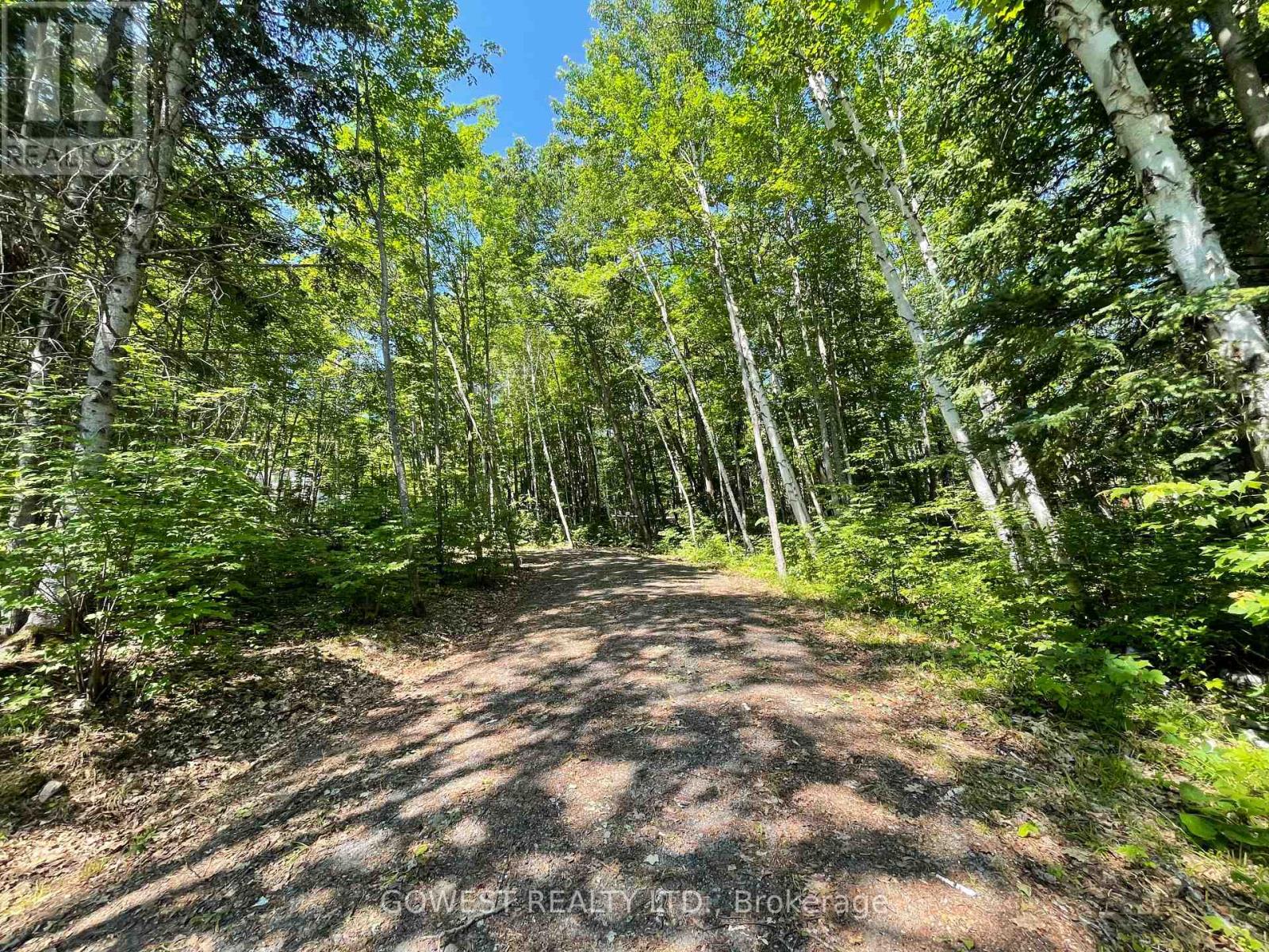 692 Mitchell Road, Madawaska Valley, Ontario K0J 1B0 - Photo 6 - X13530902