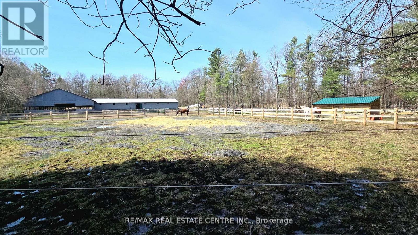1033 North Shore Drive, Gravenhurst, Ontario  P1P 1R1 - Photo 38 - X13530948